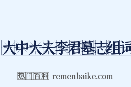 大中大夫李君墓志组词是什么意思的图片